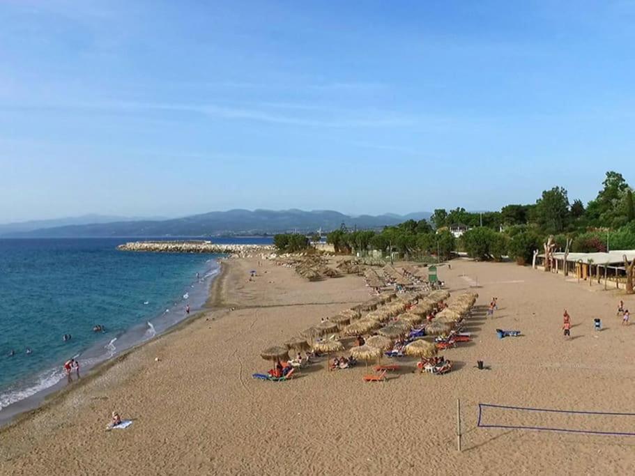 Στούντιο Σε Πέτρινο Σπίτι, Κοντά Σε Παραλία Leilighet Kyparissía Eksteriør bilde